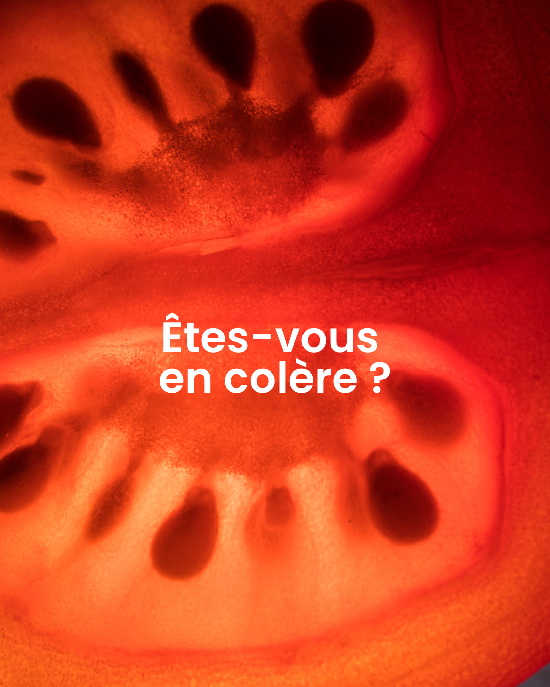 Une émotion : la colère