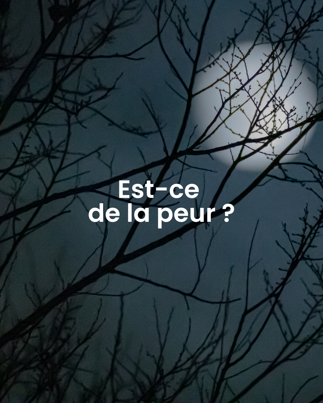 Une émotion : la peur